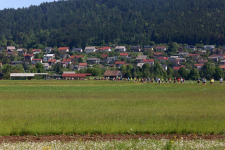 CERKNIŠKI POLMARATON 12 FOTO LJUBO VUKELIČ